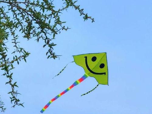 春风戏纸鸢,古韵盎然的传统民俗活动