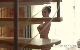 欲望保姆,揭秘现代家庭隐秘的欲望与挑战