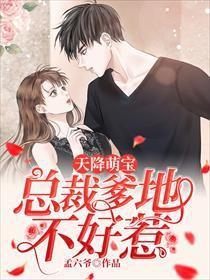 天降萌宝监护人