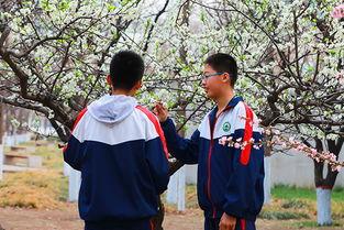 春光满校园,校园风光无限